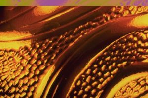 000802_c406_0050_csls